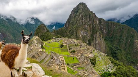 Essential tips for your Machu Picchu Adventure