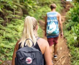 Exploring the jungle from Cusco