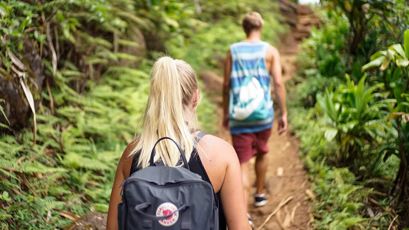 Exploring the jungle from Cusco