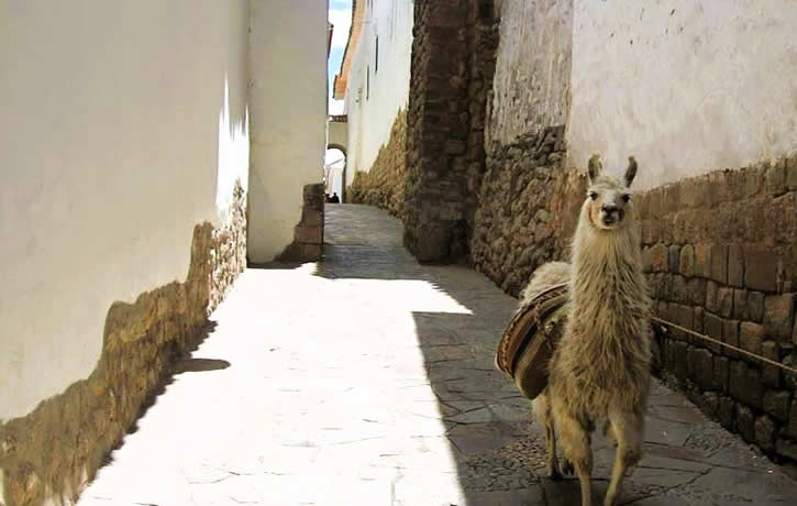 Siete culebritas Peru Cusco